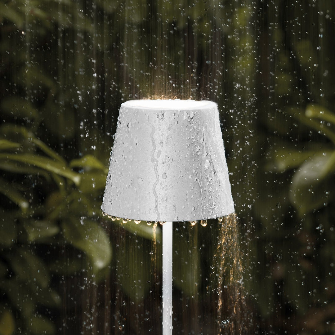 Fendri Table Lamp